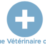 veto